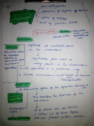 By Muhammad Ramzan Ul Rehman 15 
 