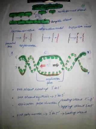 By Muhammad Ramzan Ul Rehman 16 
 