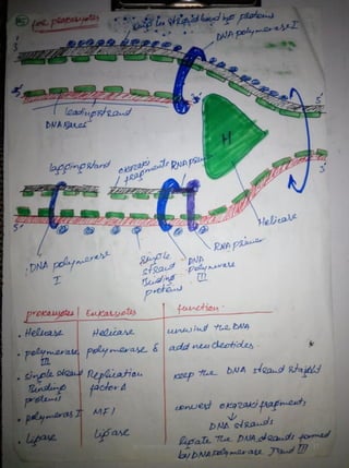 By Muhammad Ramzan Ul Rehman 17 
 
