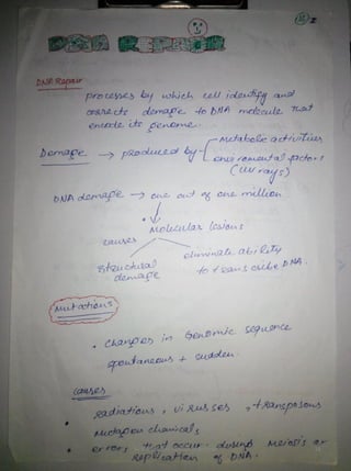 By Muhammad Ramzan Ul Rehman 18 
 