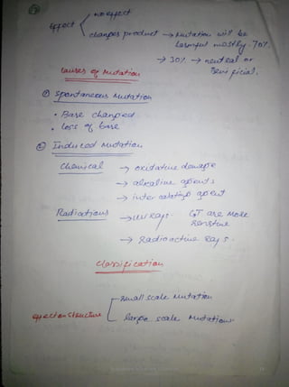 By Muhammad Ramzan Ul Rehman 19 
 