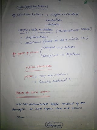 By Muhammad Ramzan Ul Rehman 20 
 