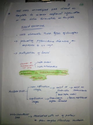 By Muhammad Ramzan Ul Rehman 22 
 