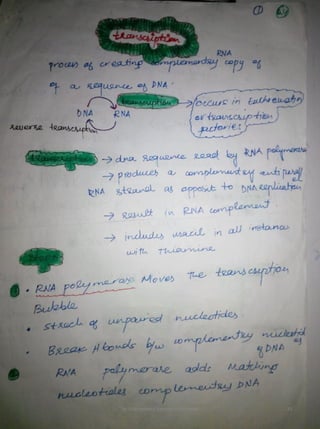 By Muhammad Ramzan Ul Rehman 25 
 