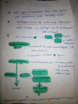 By Muhammad Ramzan Ul Rehman 26 
 