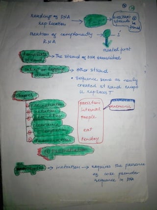 By Muhammad Ramzan Ul Rehman 27 
 