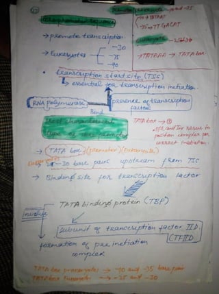 By Muhammad Ramzan Ul Rehman 28 
 