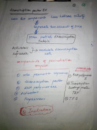 By Muhammad Ramzan Ul Rehman 29 
 