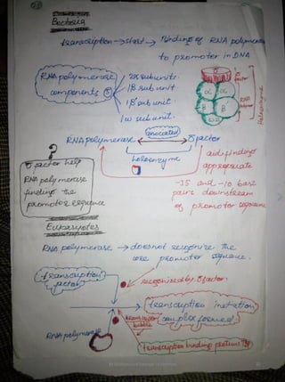 By Muhammad Ramzan Ul Rehman 30 
 