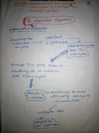 By Muhammad Ramzan Ul Rehman 31 
 