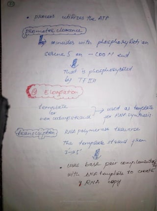 By Muhammad Ramzan Ul Rehman 32 
 