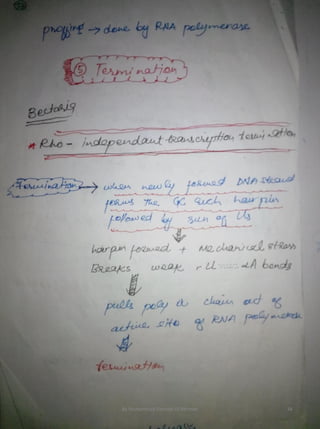 By Muhammad Ramzan Ul Rehman 34 
 