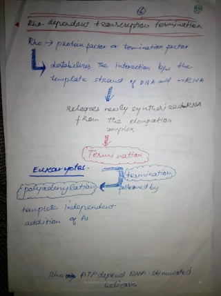 By Muhammad Ramzan Ul Rehman 35 
 