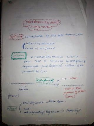 By Muhammad Ramzan Ul Rehman 36 
 