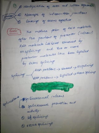 By Muhammad Ramzan Ul Rehman 37 
 