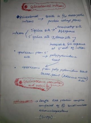 By Muhammad Ramzan Ul Rehman 38 
 