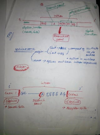 By Muhammad Ramzan Ul Rehman 39 
 