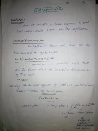 By Muhammad Ramzan Ul Rehman 4 
 