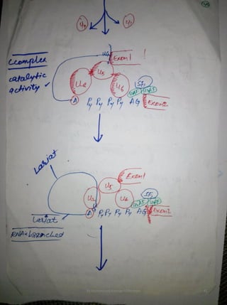 By Muhammad Ramzan Ul Rehman 41 
 