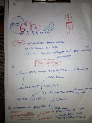 By Muhammad Ramzan Ul Rehman 42 
 