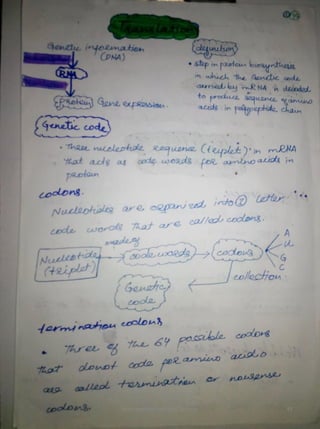 By Muhammad Ramzan Ul Rehman 43 
 