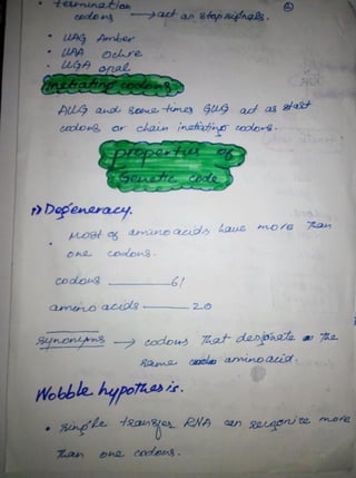 By Muhammad Ramzan Ul Rehman 44 
 