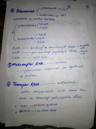 By Muhammad Ramzan Ul Rehman 49 
 