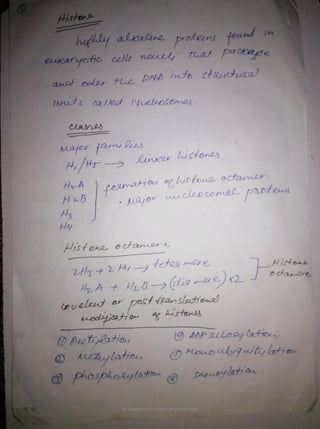 By Muhammad Ramzan Ul Rehman 5 
 