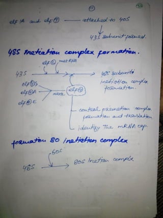 By Muhammad Ramzan Ul Rehman 53 
 