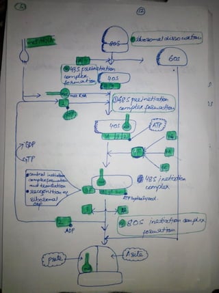 By Muhammad Ramzan Ul Rehman 54 
 