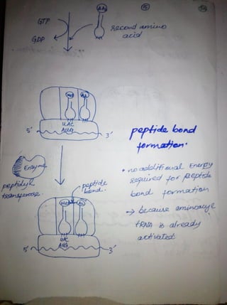 By Muhammad Ramzan Ul Rehman 57 
 