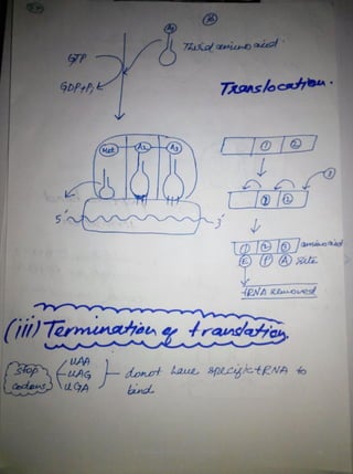 By Muhammad Ramzan Ul Rehman 58 
 