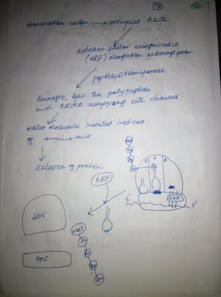 By Muhammad Ramzan Ul Rehman 59 
 