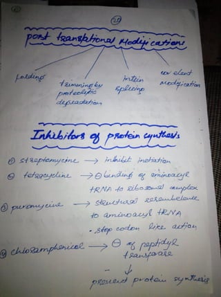 By Muhammad Ramzan Ul Rehman 62 
 