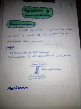 By Muhammad Ramzan Ul Rehman 65 
 