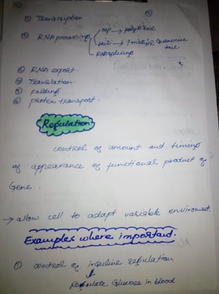 By Muhammad Ramzan Ul Rehman 66 
 