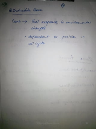 By Muhammad Ramzan Ul Rehman 68 
 