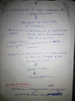 By Muhammad Ramzan Ul Rehman 7 
 