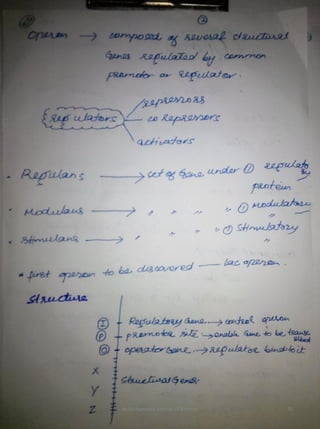 By Muhammad Ramzan Ul Rehman 70 
 