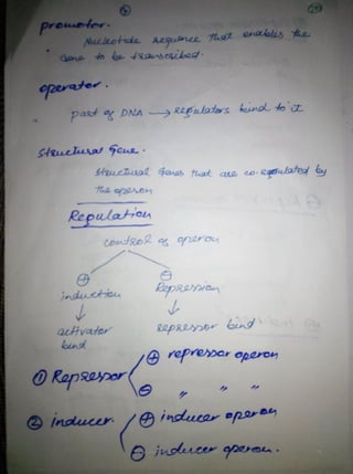 By Muhammad Ramzan Ul Rehman 71 
 