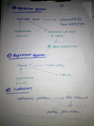 By Muhammad Ramzan Ul Rehman 72 
 