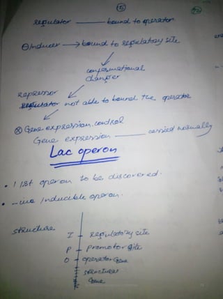 By Muhammad Ramzan Ul Rehman 73 
 