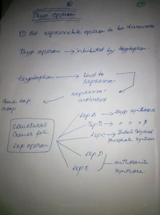 By Muhammad Ramzan Ul Rehman 75 
 