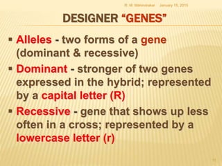 DESIGNER “GENES”
 Alleles - two forms of a gene
(dominant & recessive)
 Dominant - stronger of two genes
expressed in the hybrid; represented
by a capital letter (R)
 Recessive - gene that shows up less
often in a cross; represented by a
lowercase letter (r)
January 15, 2015R. M. Mahindrakar
11
 