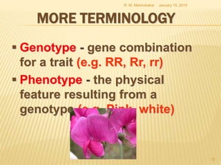 MORE TERMINOLOGY
 Genotype - gene combination
for a trait (e.g. RR, Rr, rr)
 Phenotype - the physical
feature resulting from a
genotype (e.g. Pink, white)
January 15, 2015R. M. Mahindrakar
12
 