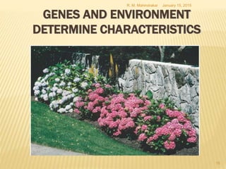 January 15, 2015R. M. Mahindrakar
15
GENES AND ENVIRONMENT
DETERMINE CHARACTERISTICS
 
