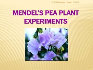 MENDEL’S PEA PLANT
EXPERIMENTS
January 15, 2015R. M. Mahindrakar
16
 