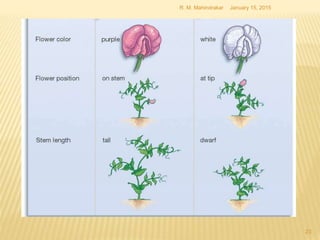 January 15, 2015R. M. Mahindrakar
23
 