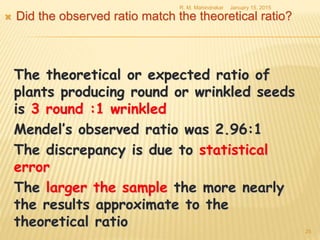  Did the observed ratio match the theoretical ratio?
January 15, 2015R. M. Mahindrakar
25
The theoretical or expected ratio of
plants producing round or wrinkled seeds
is 3 round :1 wrinkled
Mendel’s observed ratio was 2.96:1
The discrepancy is due to statistical
error
The larger the sample the more nearly
the results approximate to the
theoretical ratio
 