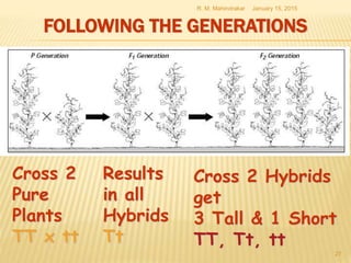 FOLLOWING THE GENERATIONS
January 15, 2015R. M. Mahindrakar
27
Cross 2
Pure
Plants
TT x tt
Results
in all
Hybrids
Tt
Cross 2 Hybrids
get
3 Tall & 1 Short
TT, Tt, tt
 